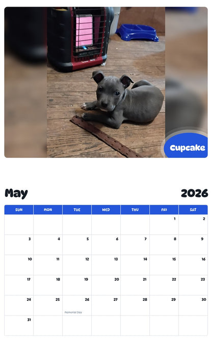 2026 - 2027 Cupcake - Pawidols Pet Calendar