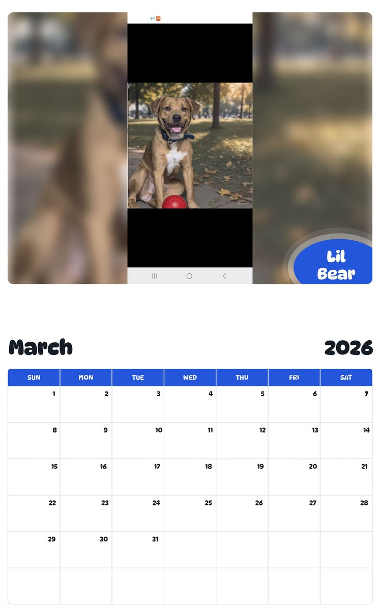 November 2025 - October 2026 Lil Bear - Pawidols Pet Calendar