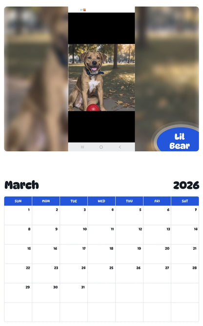 November 2025 - October 2026 Lil Bear - Pawidols Pet Calendar