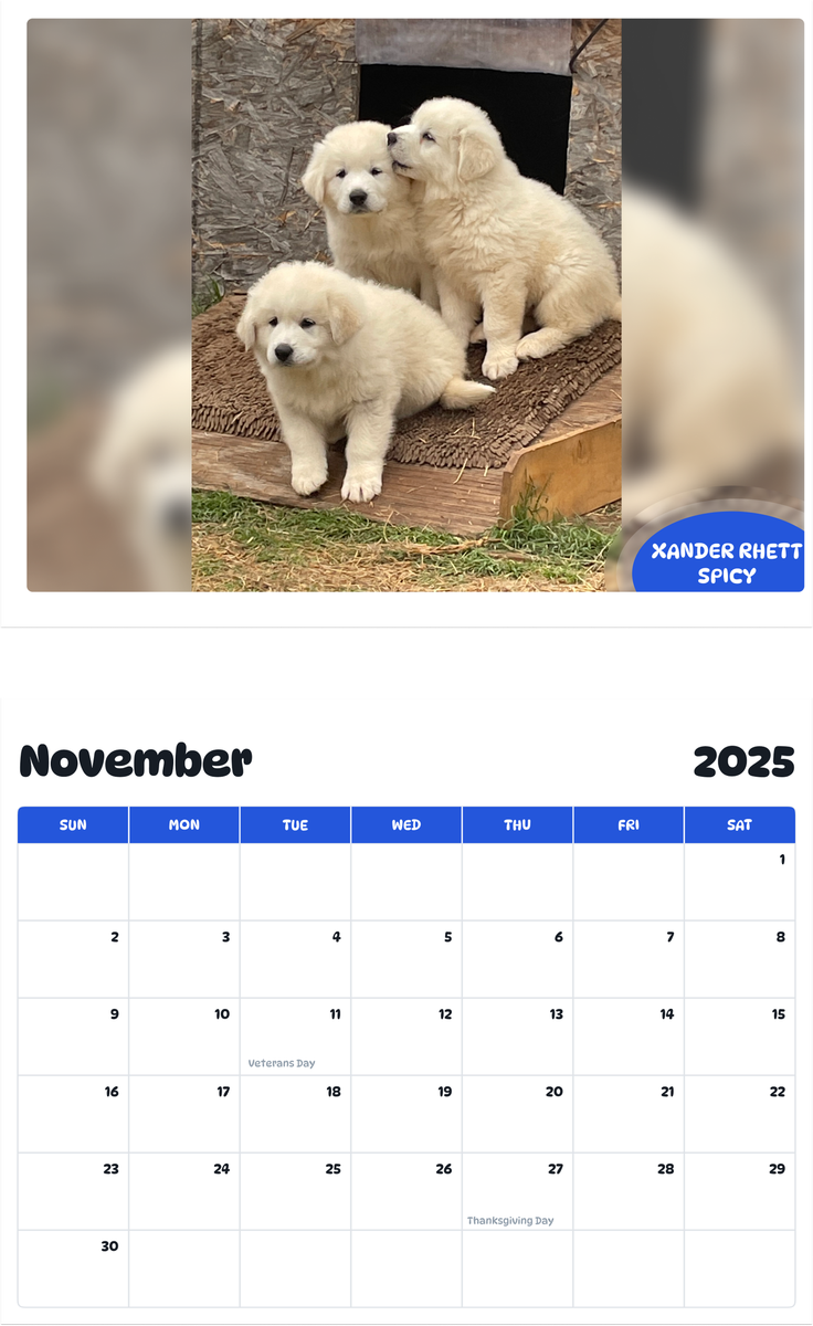 July 2025 - June 2026 Xander Rhett Spicy - Pawidols Pet Calendar