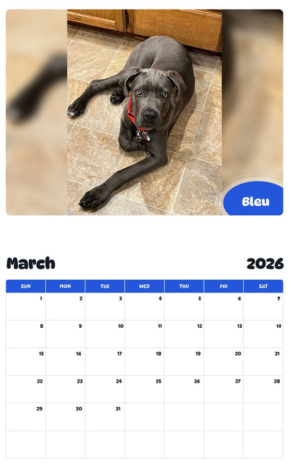 November 2025 - October 2026 Bleu - Pawidols Pet Calendar