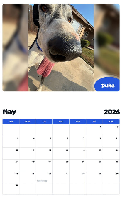 2026 - 2027 Duke - Pawidols Pet Calendar