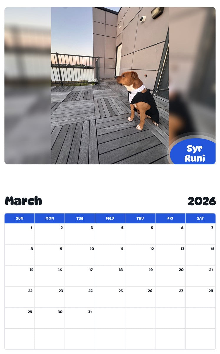 November 2025 - October 2026 Syr Runi - Pawidols Pet Calendar