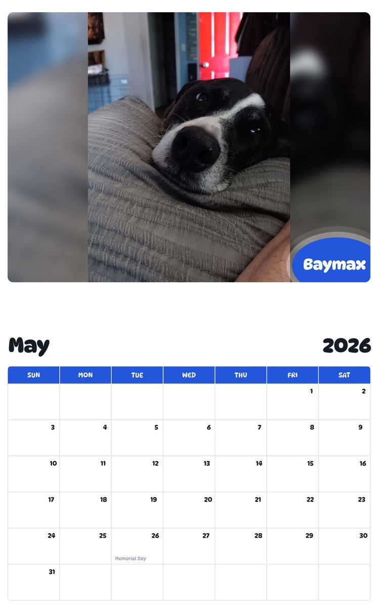 2026 - 2027 Baymax - Pawidols Pet Calendar