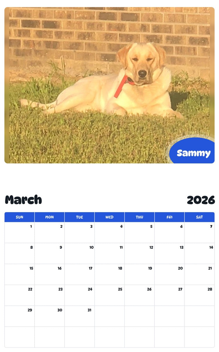 November 2025 - October 2026 Sammy - Pawidols Pet Calendar