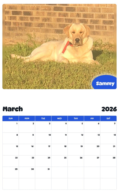 November 2025 - October 2026 Sammy - Pawidols Pet Calendar