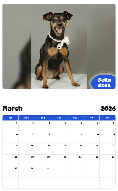November 2025 - October 2026 Bella Rose - Pawidols Pet Calendar