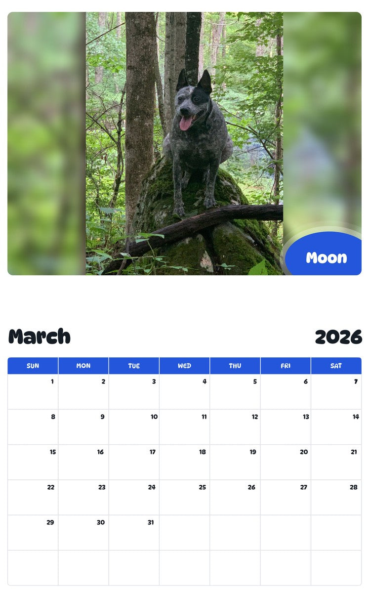 November 2025 - October 2026 Moon - Pawidols Pet Calendar