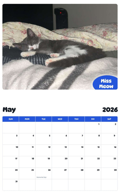 2026 - 2027 Miss Meow - Pawidols Pet Calendar