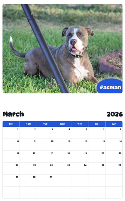 November 2025 - October 2026 Pacman - Pawidols Pet Calendar