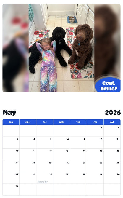 2026 - 2027 Coal.  Ember - Pawidols Pet Calendar