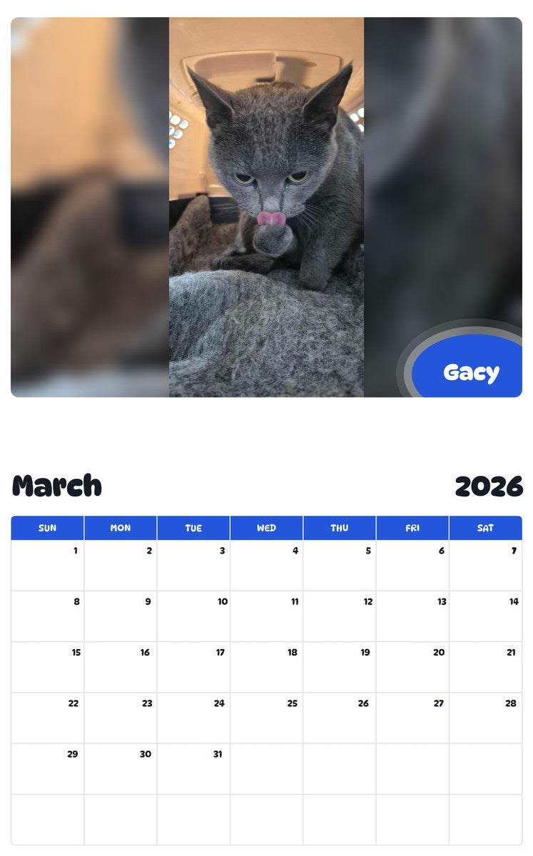 November 2025 - October 2026 Gacy - Pawidols Pet Calendar