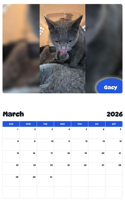 November 2025 - October 2026 Gacy - Pawidols Pet Calendar