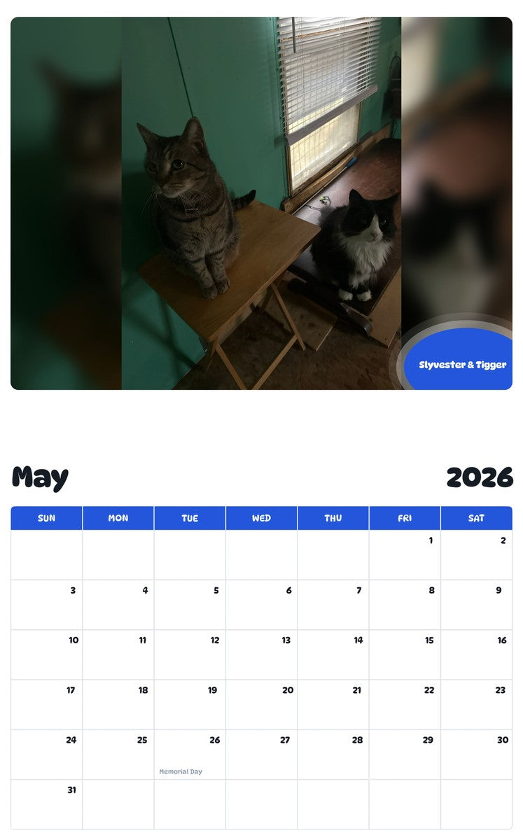 2026 - 2027 Slyvester & Tigger - Pawidols Pet Calendar