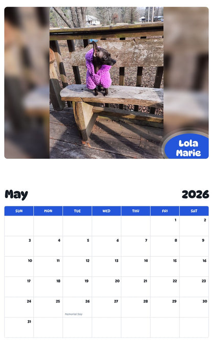 2026 - 2027 Lola Marie - Pawidols Pet Calendar