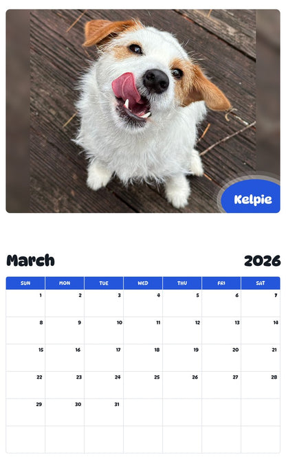 November 2025 - October 2026 Kelpie - Pawidols Pet Calendar