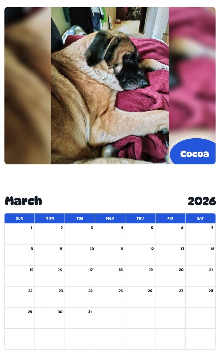 November 2025 - October 2026 Cocoa - Pawidols Pet Calendar