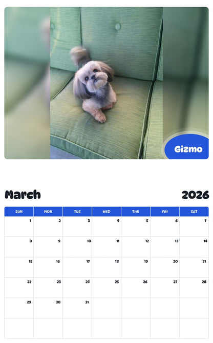 November 2025 - October 2026 Gizmo - Pawidols Pet Calendar