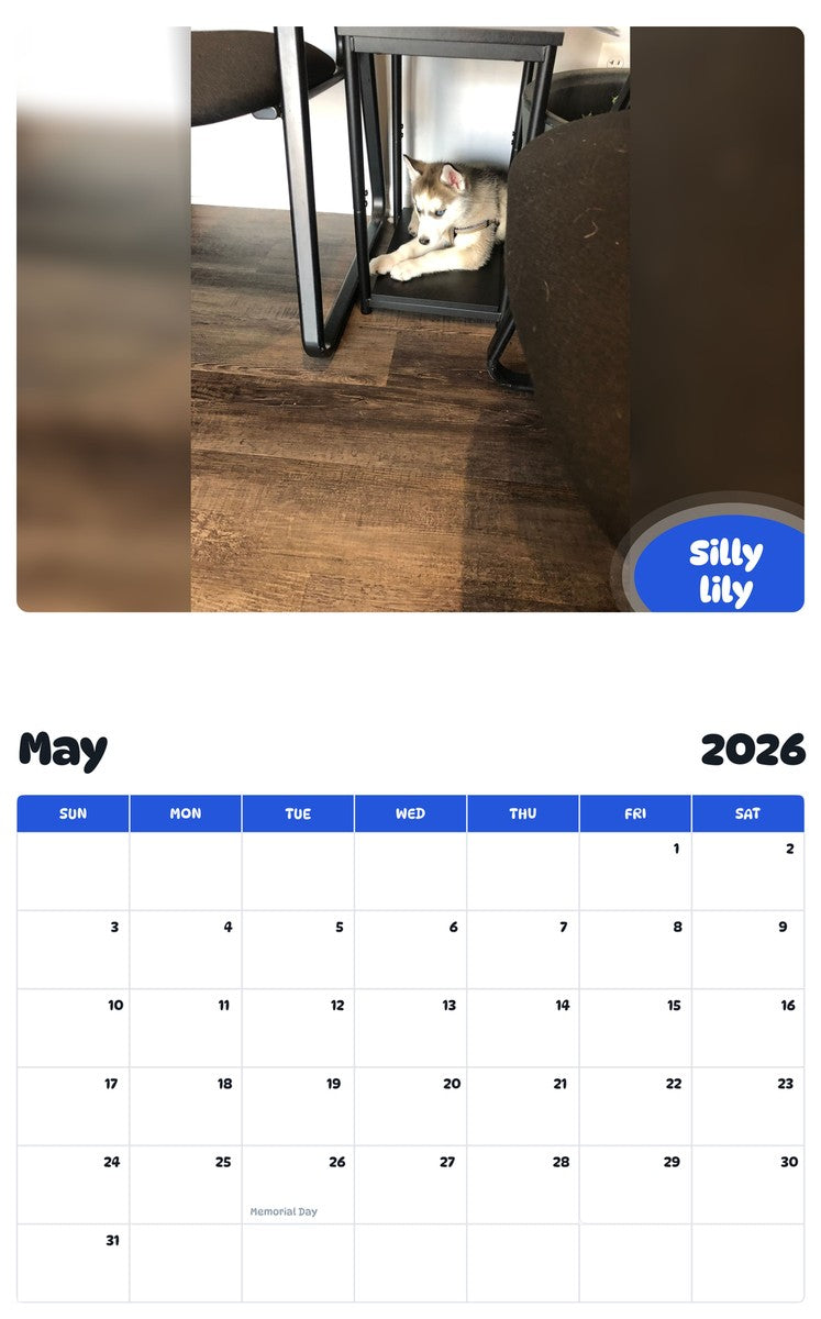 2026 - 2027 Silly lily - Pawidols Pet Calendar
