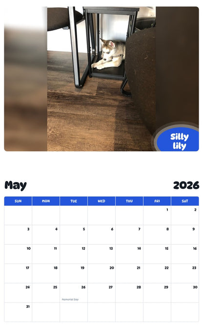 2026 - 2027 Silly lily - Pawidols Pet Calendar
