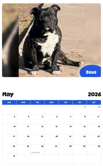 2026 - 2027 Zeus - Pawidols Pet Calendar