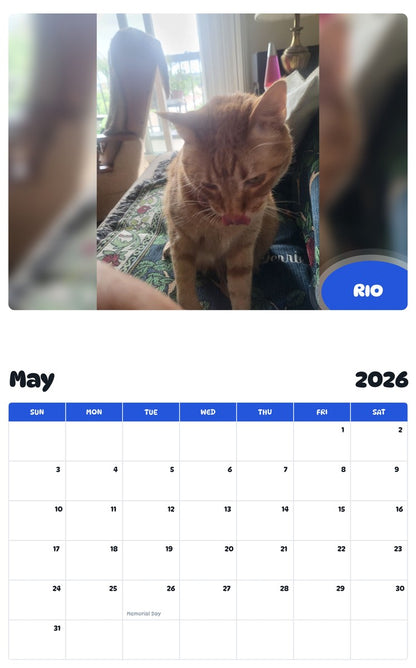 2026 - 2027 RIO - Pawidols Pet Calendar