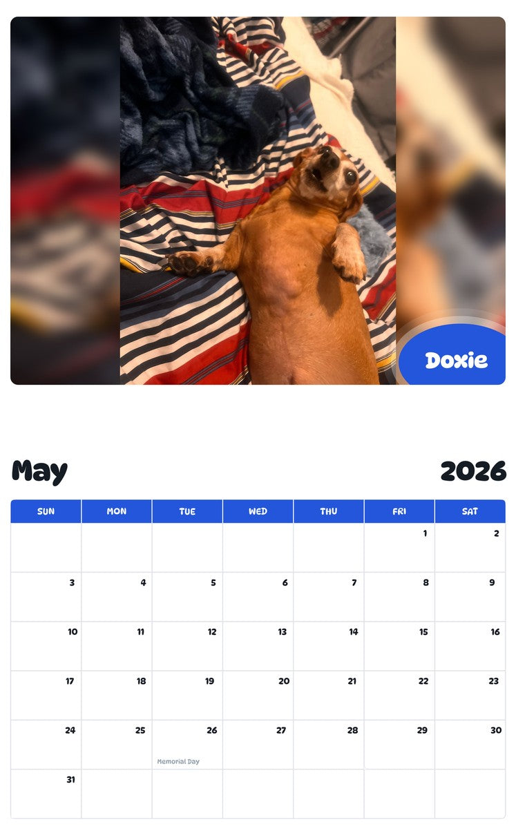 2026 - 2027 Doxie - Pawidols Pet Calendar