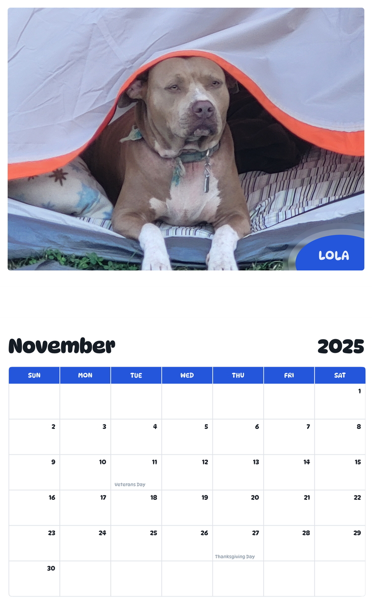 July 2025 - June 2026 Lola - Pawidols Pet Calendar