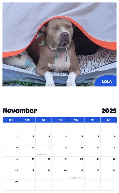 July 2025 - June 2026 Lola - Pawidols Pet Calendar