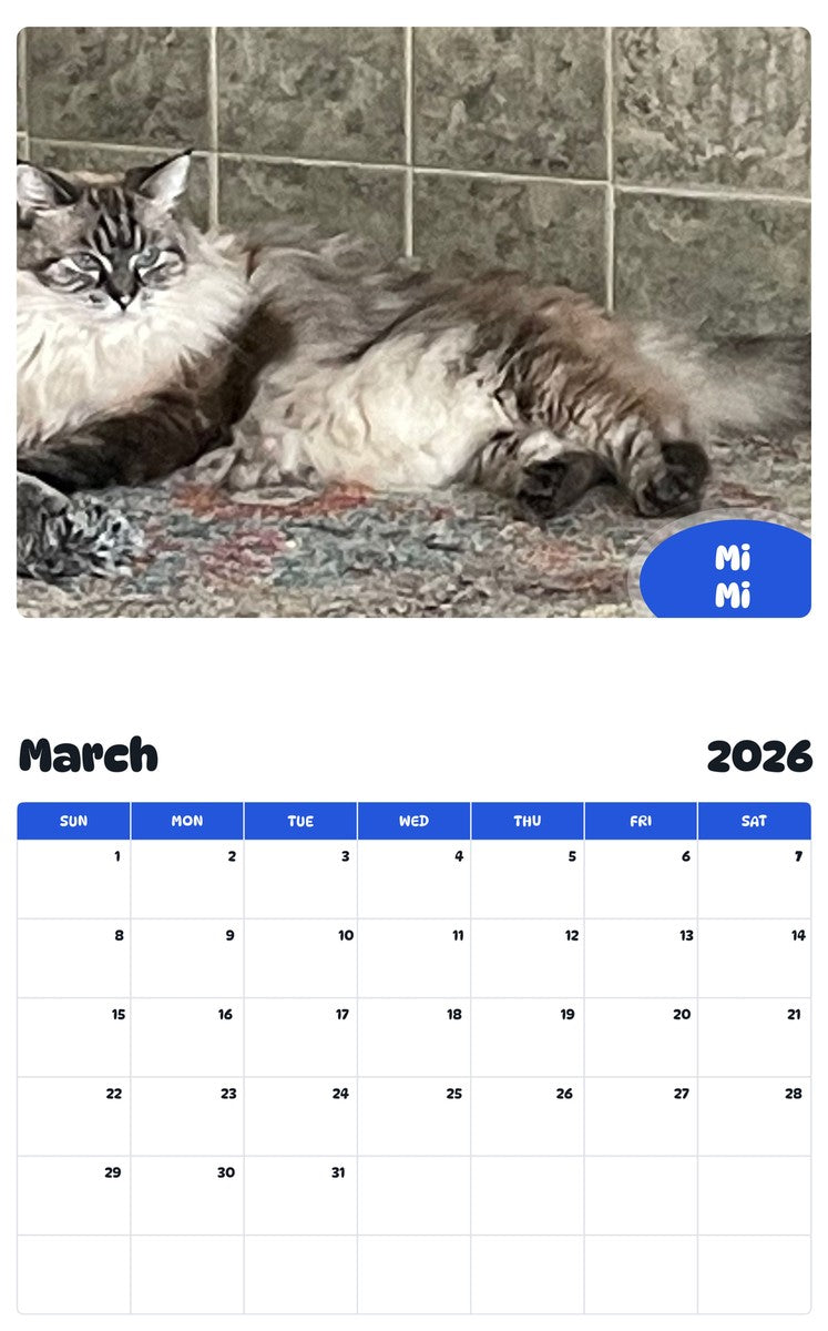 November 2025 - October 2026 Mi Mi - Pawidols Pet Calendar