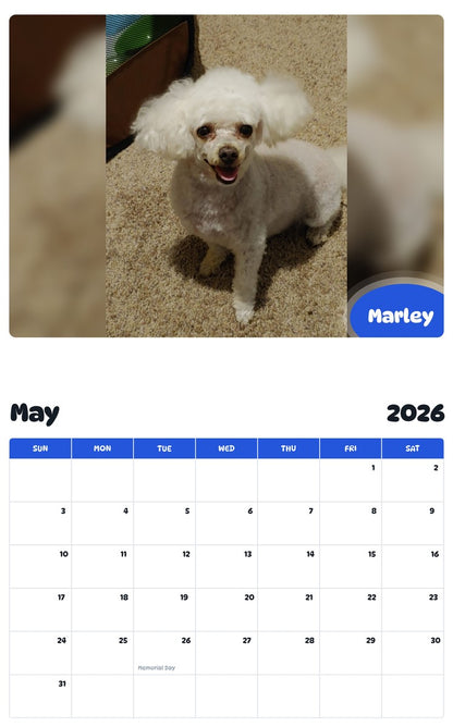 2026 - 2027 Marley - Pawidols Pet Calendar