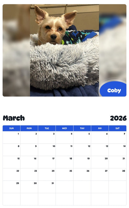 November 2025 - October 2026 Coby - Pawidols Pet Calendar