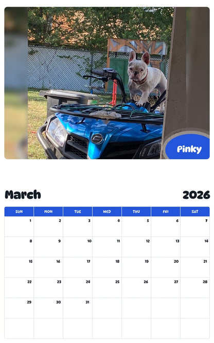 November 2025 - October 2026 Pinky - Pawidols Pet Calendar