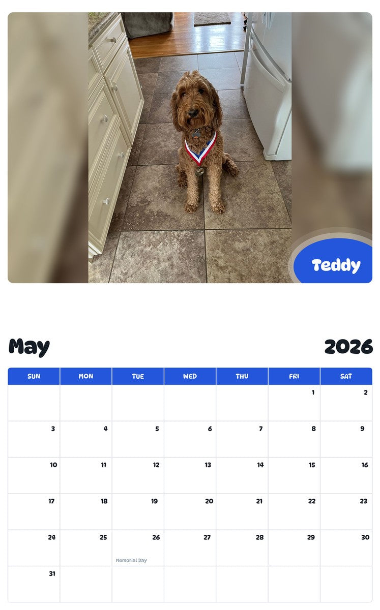 2026 - 2027 Teddy - Pawidols Pet Calendar