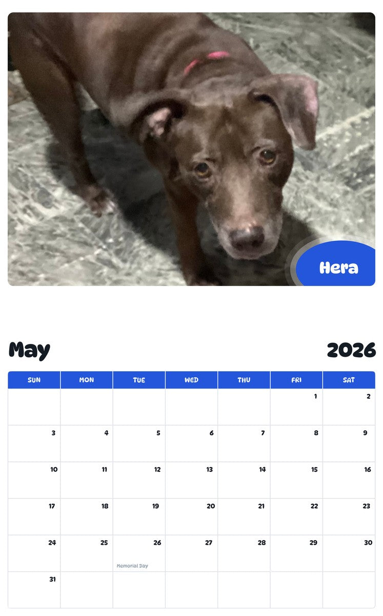 2026 - 2027 Hera - Pawidols Pet Calendar