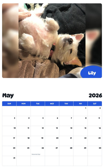 2026 - 2027 Lily - Pawidols Pet Calendar
