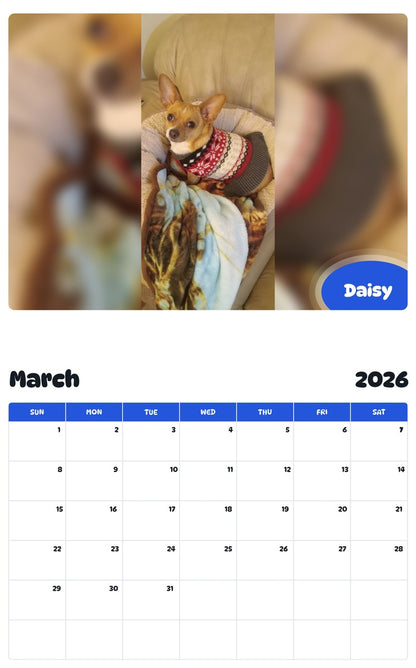 November 2025 - October 2026 Daisy - Pawidols Pet Calendar