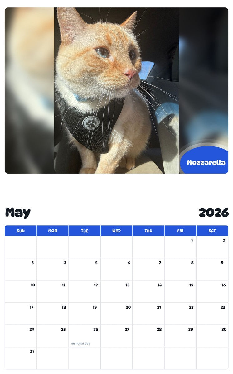 2026 - 2027 Mozzarella - Pawidols Pet Calendar