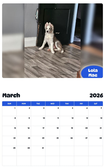 November 2025 - October 2026 Lola Mae - Pawidols Pet Calendar