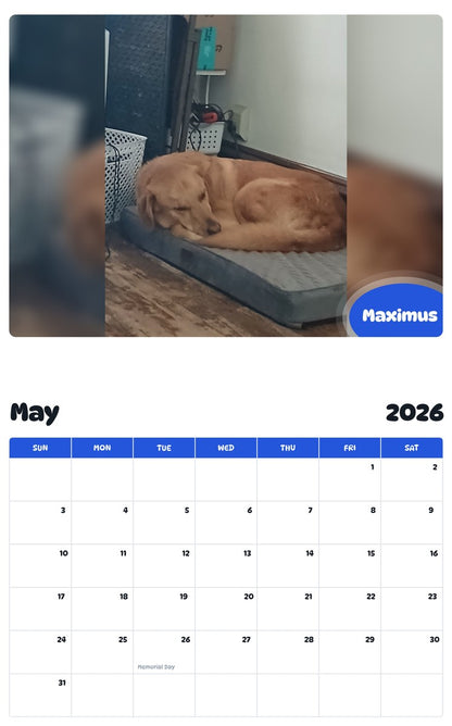 2026 - 2027 Maximus - Pawidols Pet Calendar