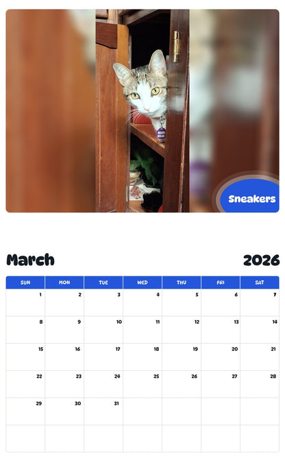 November 2025 - October 2026 Sneakers - Pawidols Pet Calendar