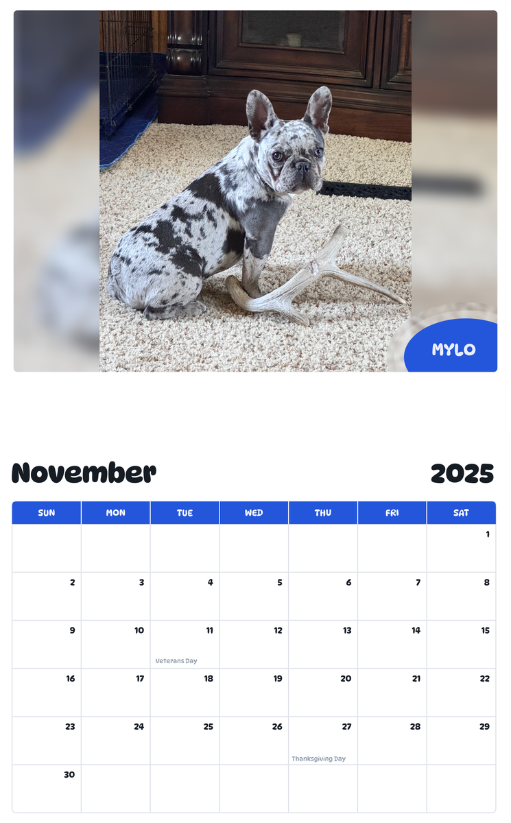 July 2025 - June 2026 Mylo - Pawidols Pet Calendar
