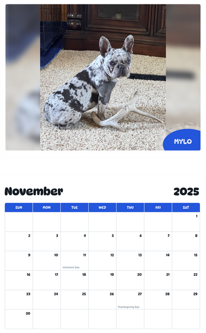 July 2025 - June 2026 Mylo - Pawidols Pet Calendar