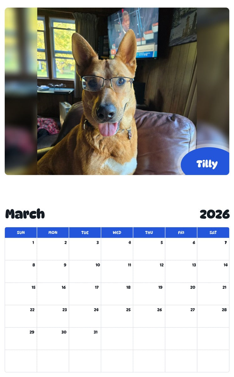 November 2025 - October 2026 Tilly - Pawidols Pet Calendar
