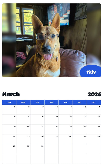 November 2025 - October 2026 Tilly - Pawidols Pet Calendar