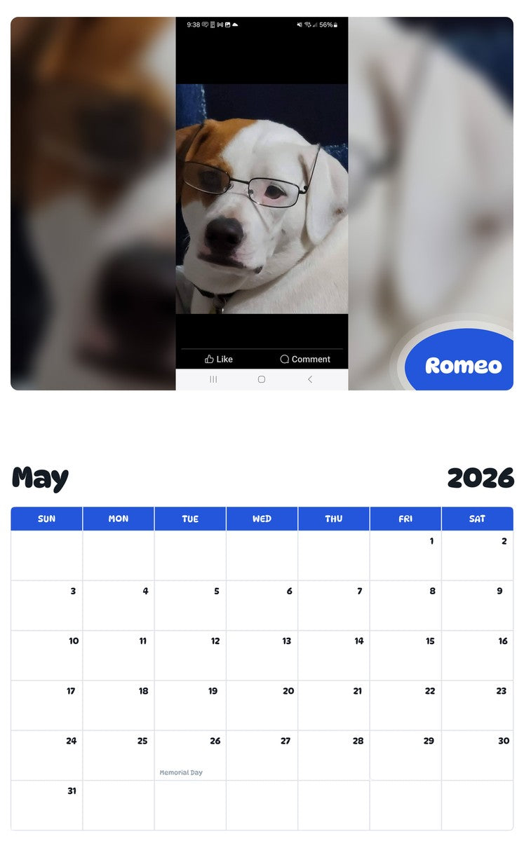 2026 - 2027 Romeo - Pawidols Pet Calendar