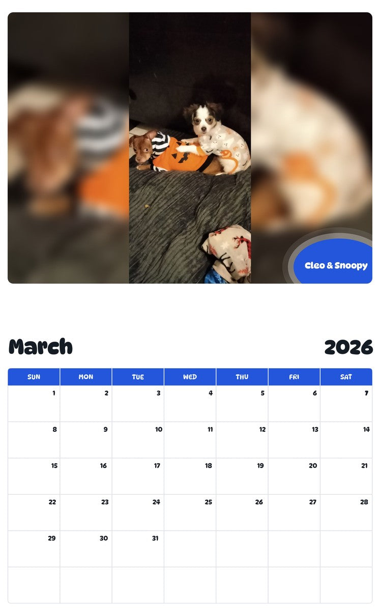 November 2025 - October 2026 Cleo & Snoopy - Pawidols Pet Calendar