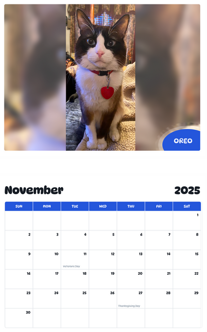 July 2025 - June 2026 Oreo - Pawidols Pet Calendar