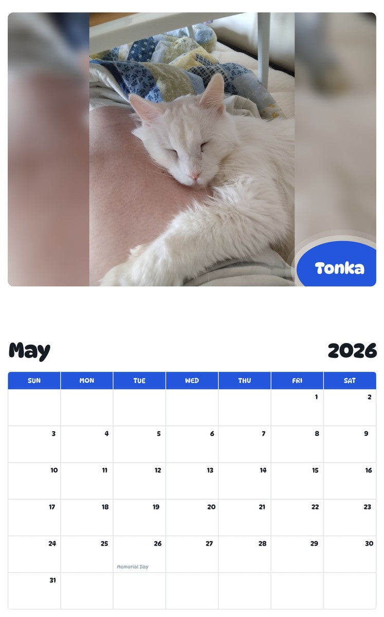 2026 - 2027 Tonka - Pawidols Pet Calendar