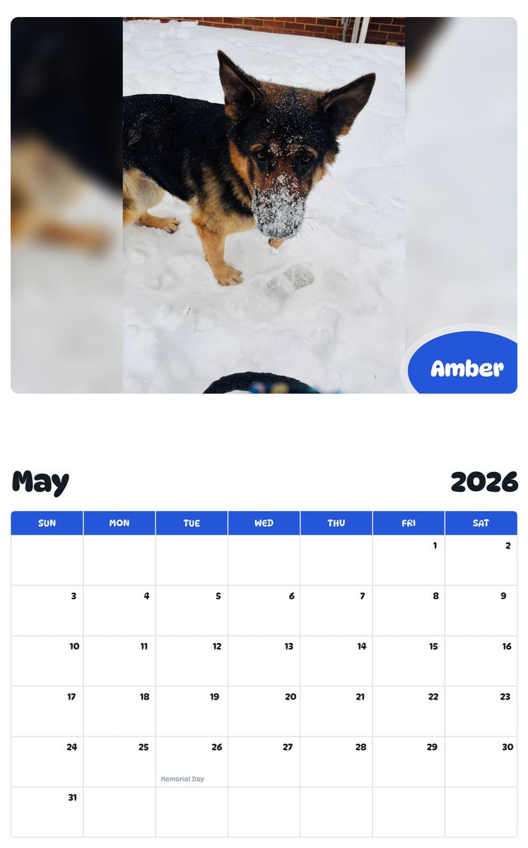2026 - 2027 Amber - Pawidols Pet Calendar